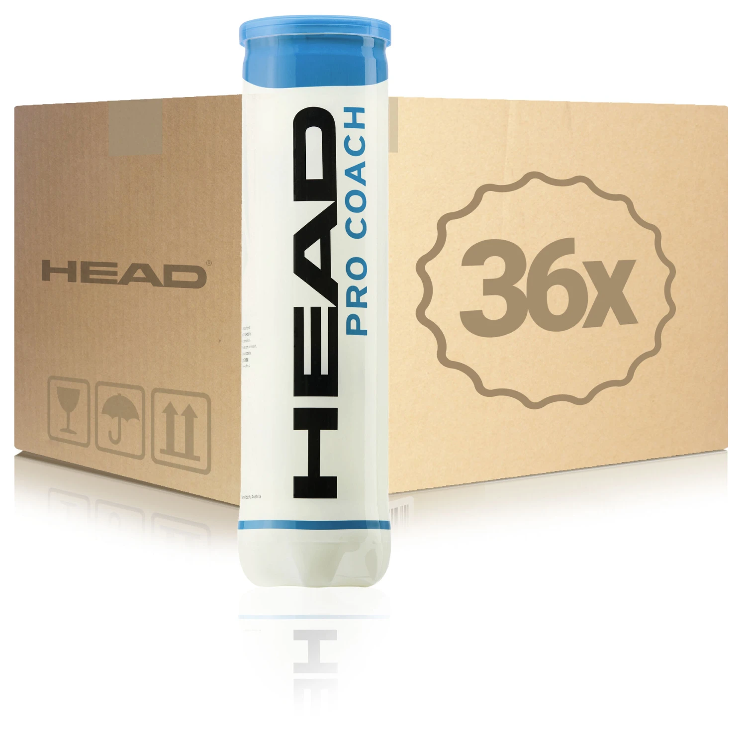 Head Pro Coach 36x 4er Dose Im Karton
